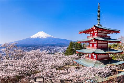 絶対借りられる 山梨 - 山梨県の魅力を徹底解剖